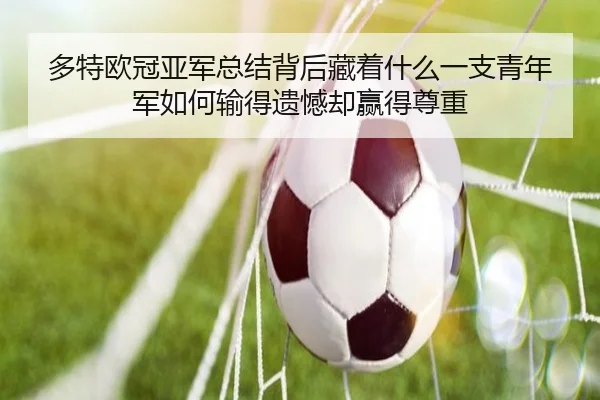 多特欧冠亚军总结背后藏着什么一支青年军如何输得遗憾却赢得尊重